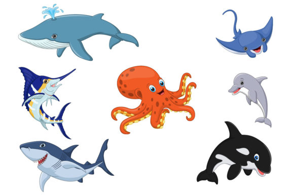 Cartoon Cute Sea Animals Collection Review